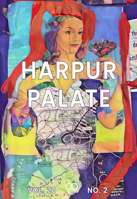 HP 20.2 Issue Cover